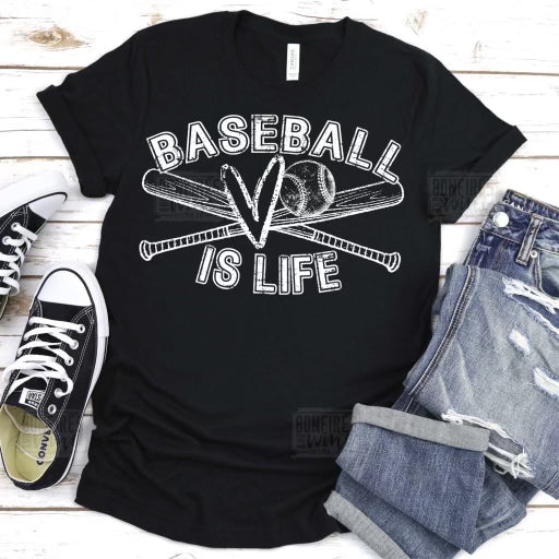 Baseball is life